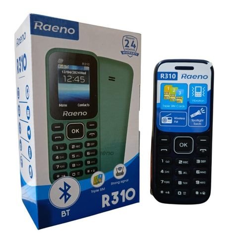 Téléphone Rienk R310